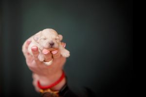 Blog 9 iStock 1025480886